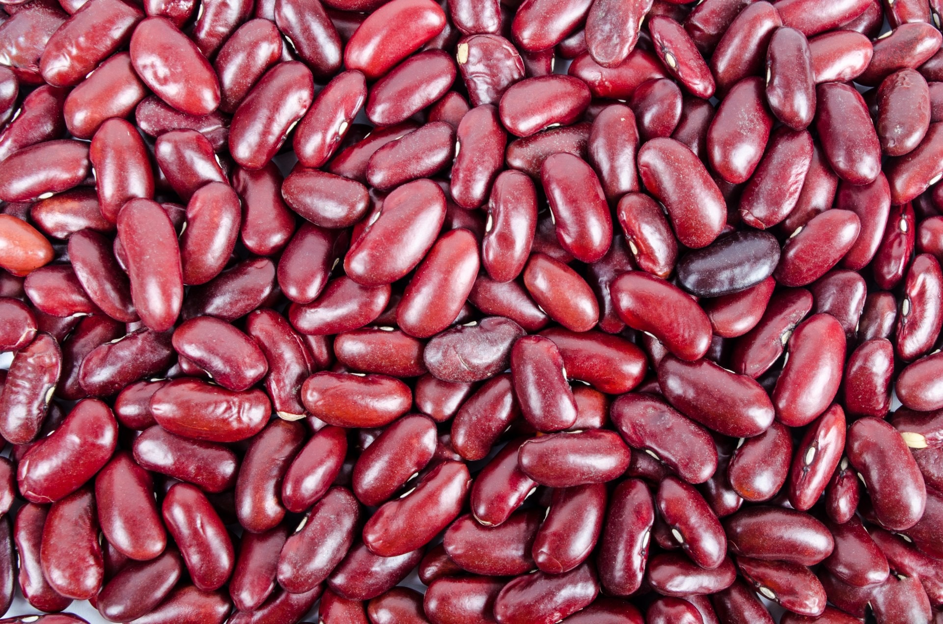 beans-zeepox16592