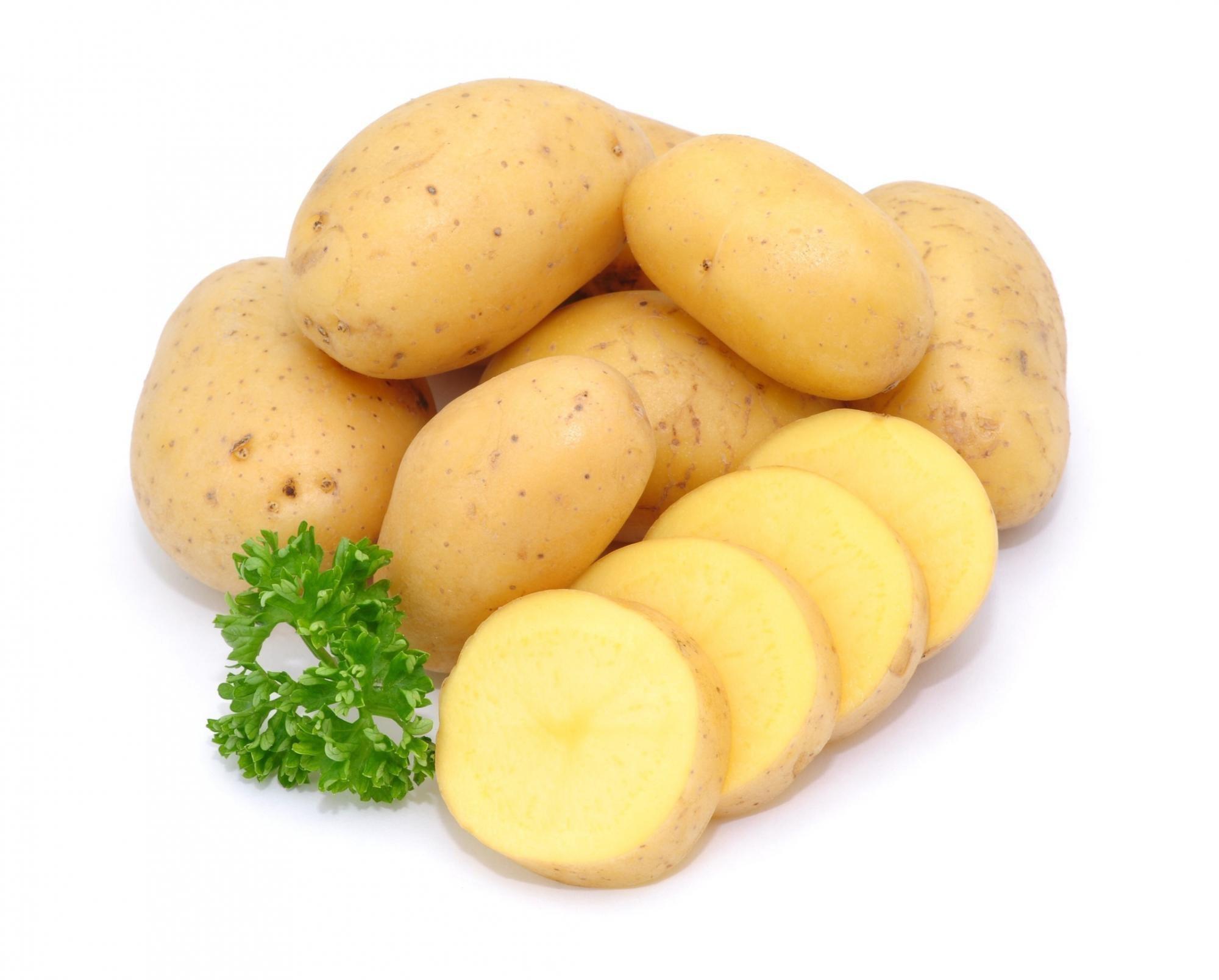 shop-online-from-holland-vegetables-agria-potatoes-fresh-food-in-dubai-and-abu-dhabi-24624289294